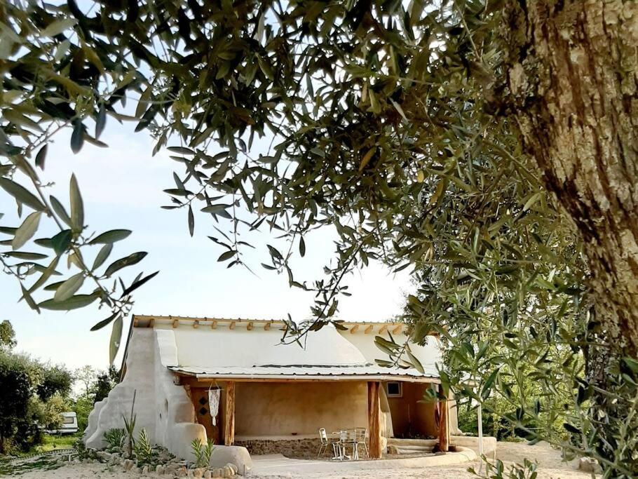 Quinta Terramadome: Dome Incomum & Responsavel Villa Penamacor Exterior photo